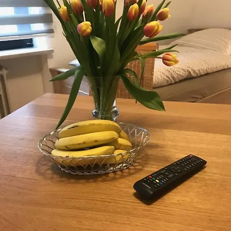 Immerzimmer Пойнг